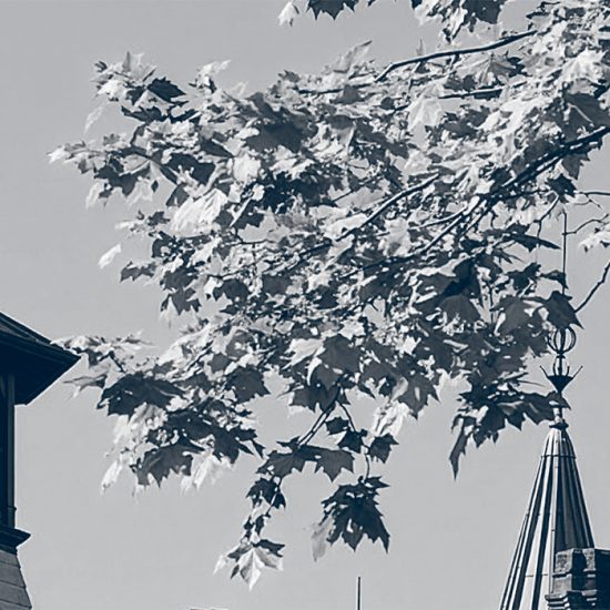 Lomena: Rehabilitación de fachadas de edificios para profesionales